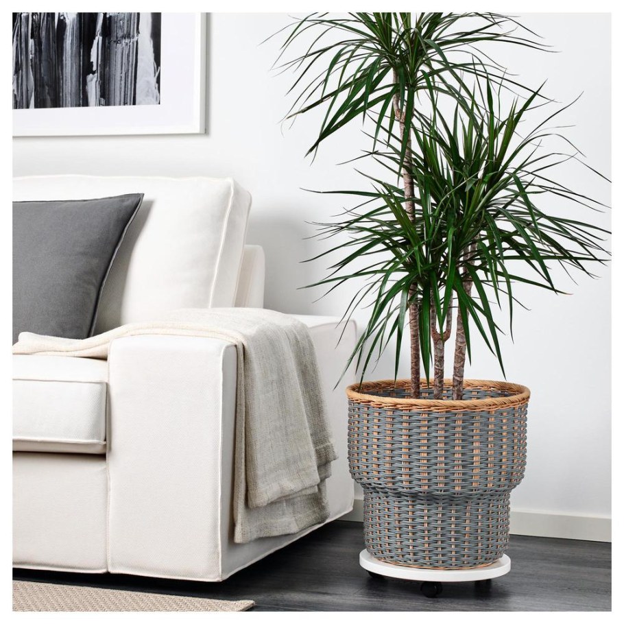 Кашпо серое ikea ikea