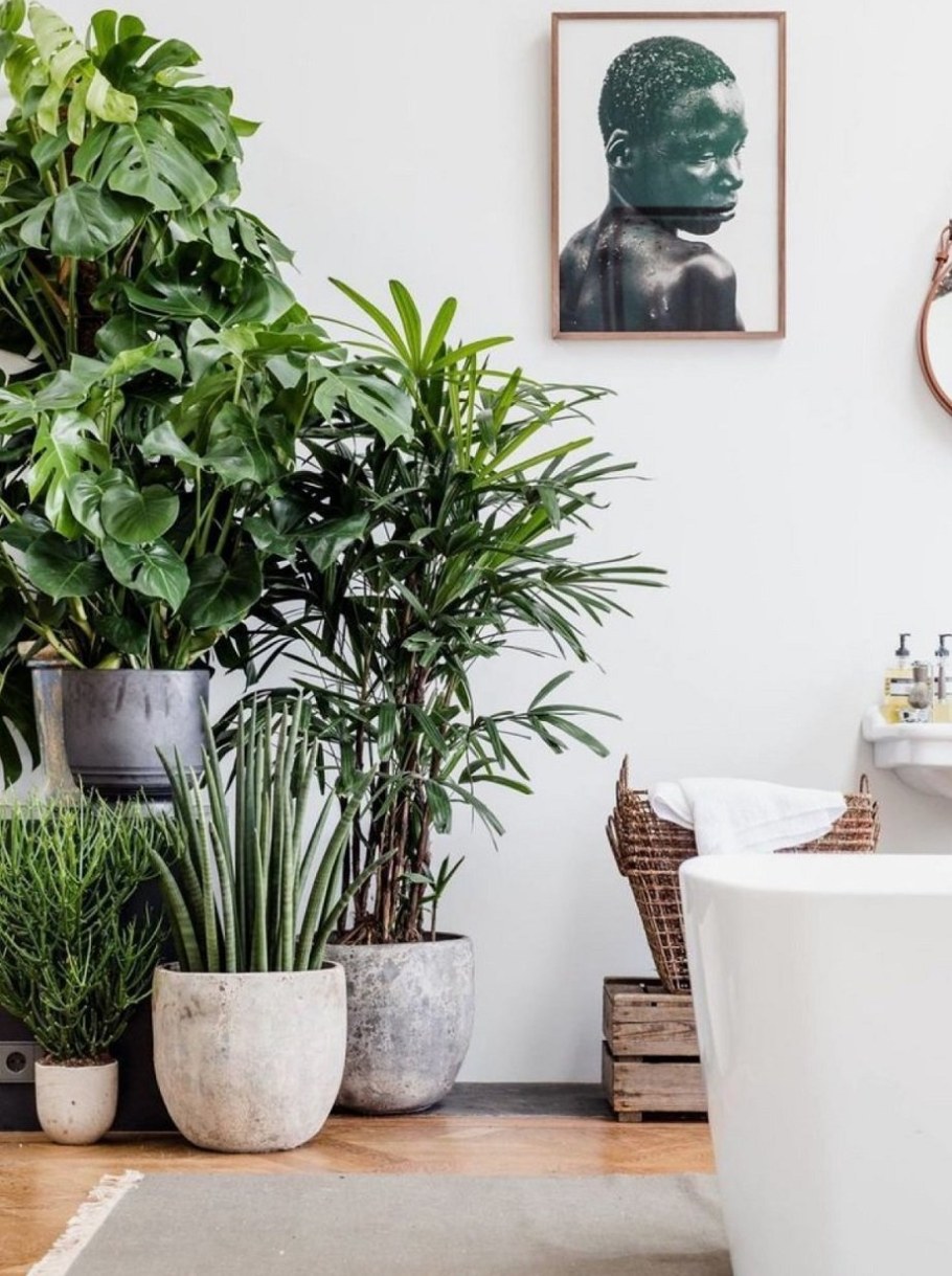 Цветы в интерьере