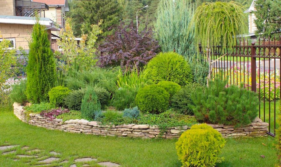 Миксбордеры с хвойниками