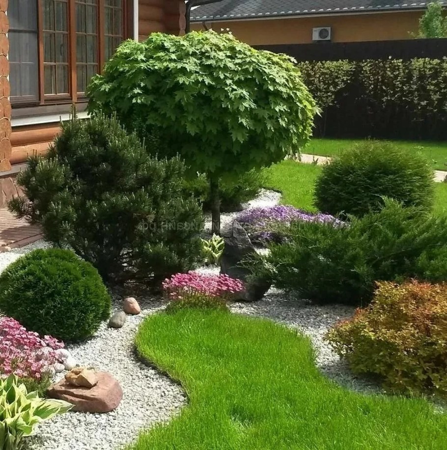Клумба сосна Горная гортензия Барбарис туя Даника