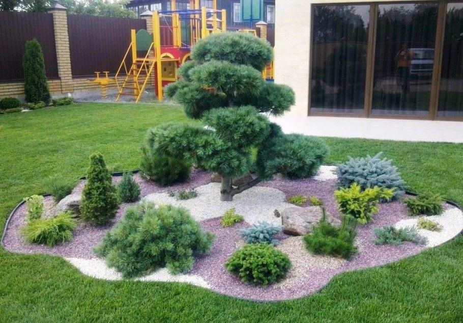 Рокарий с горной сосной