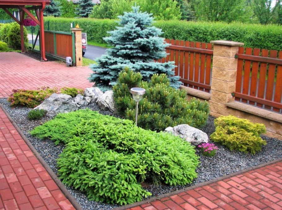 Рокарии с хвойниками