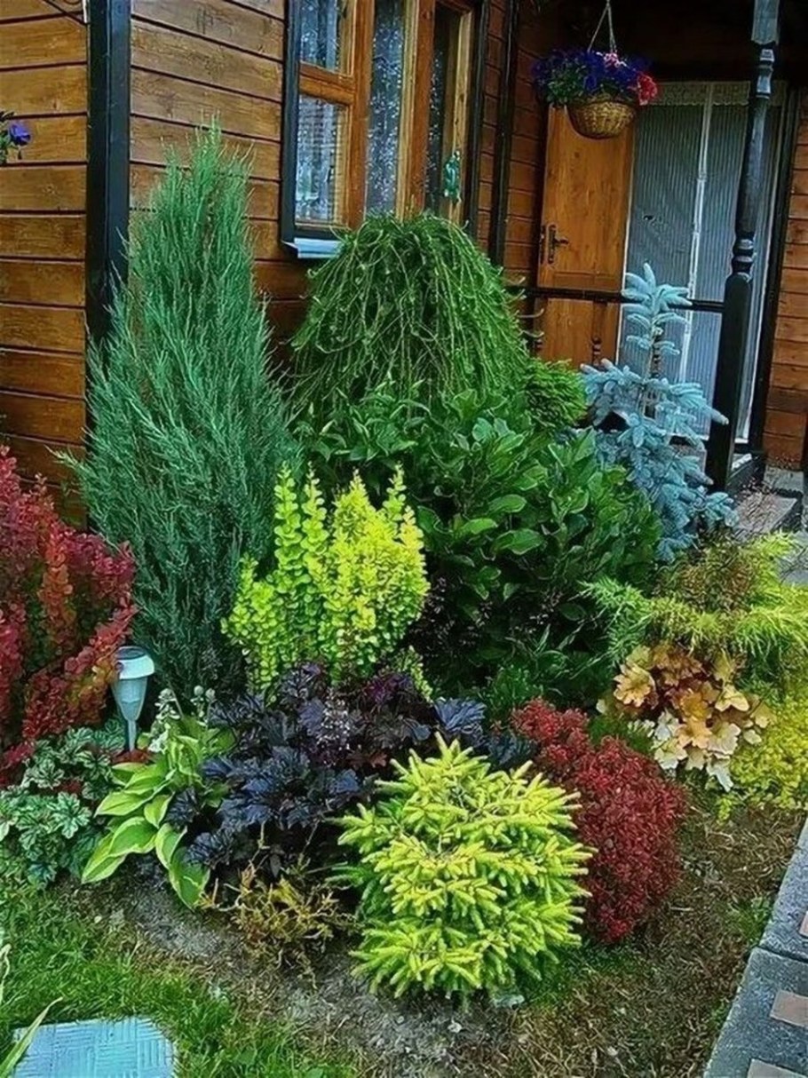 Миксбордер с можжевельником и барбарисом