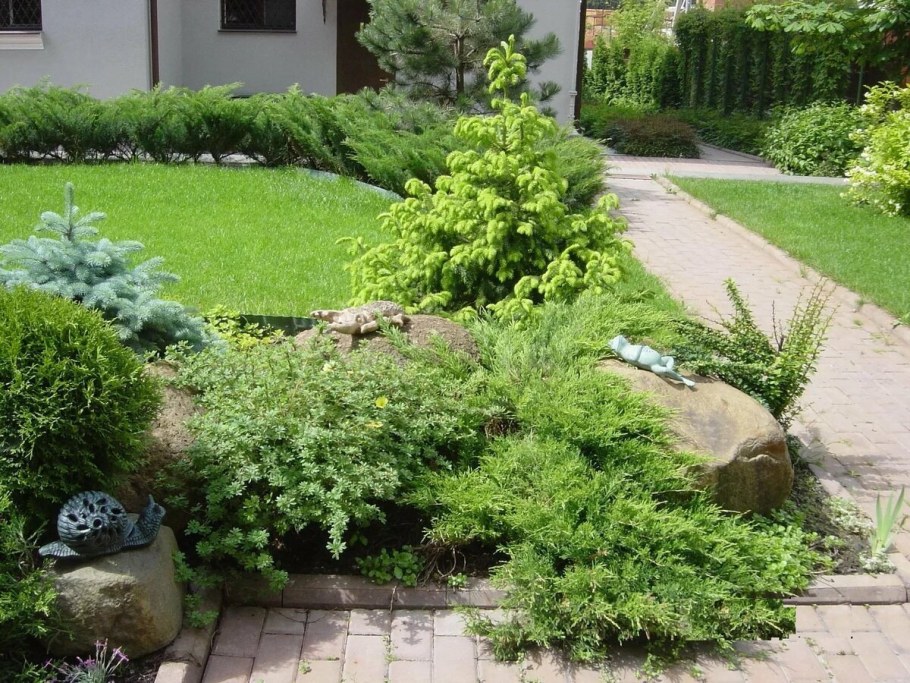 Рокарий с можжевельником казацким