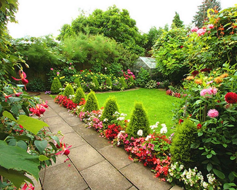 Рабатка Тунберга