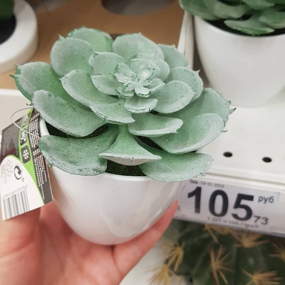 Искусственные цветы из фикспрайса