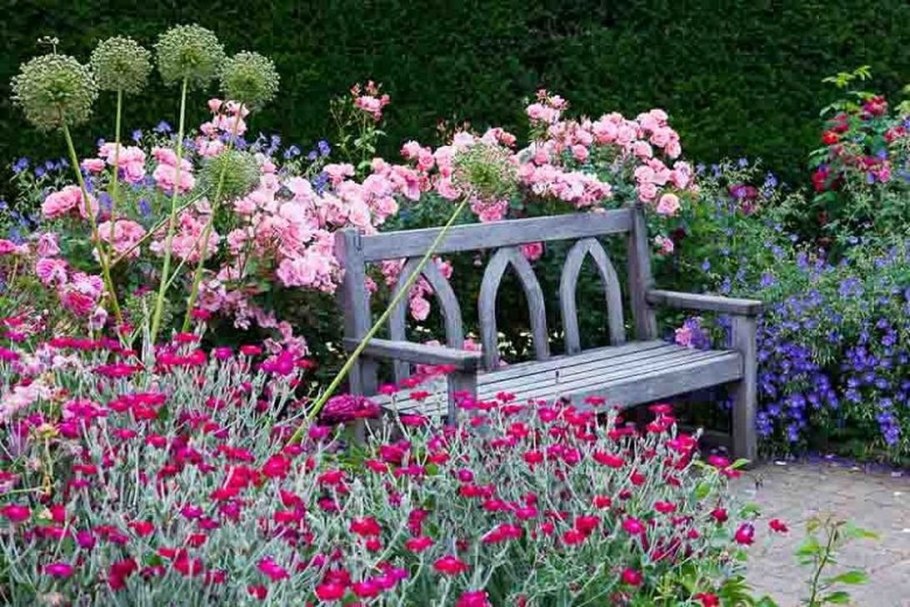 Розарий Прованс