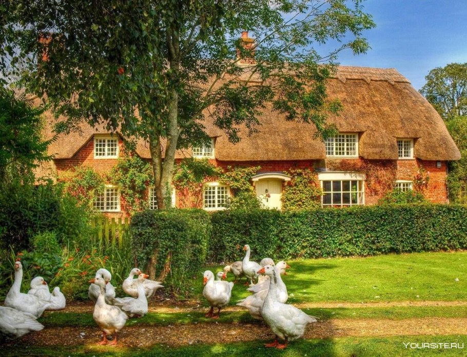 Сельская Англия Хэмпшир зимой