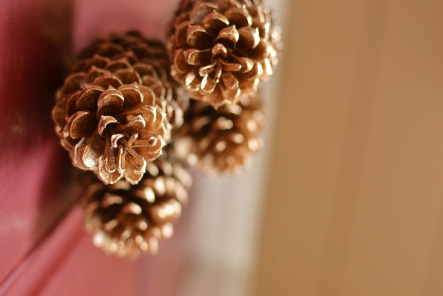 Цветы из шишек