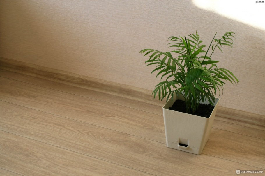 Таркетт танго 4 в интерьере фото