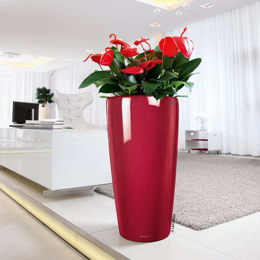 Лечуза Рондо 40