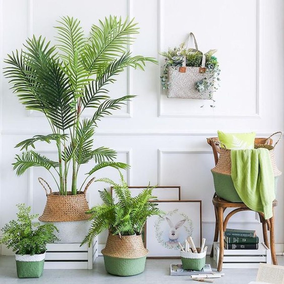 Горшечные растения в интерьере