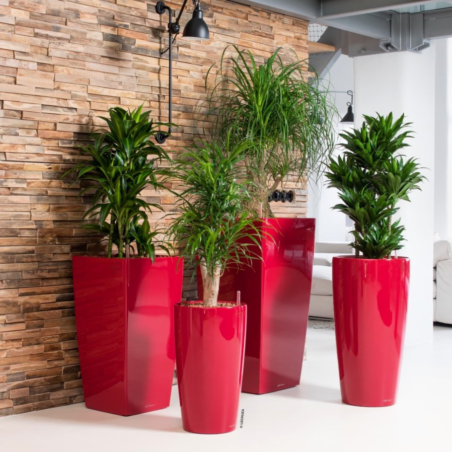 Кашпо Lechuza Rondo