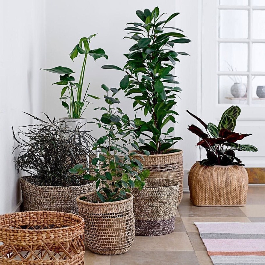 Кашпо Сканди