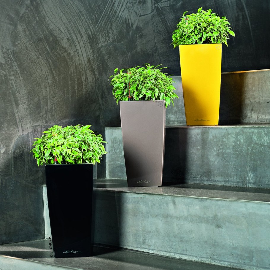 Кашпо Лечуза Rondo