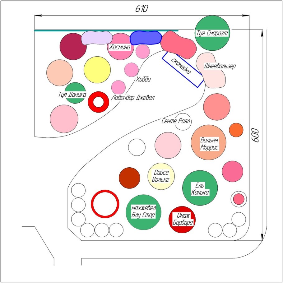 Схема посадки роз в розарии на даче