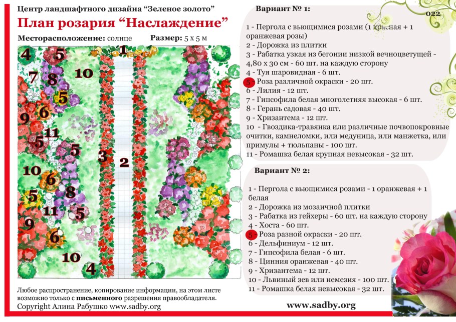 План схема посадки Розария