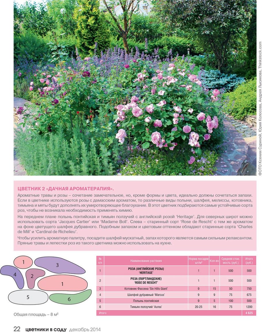 Схема посадки роз в розарии