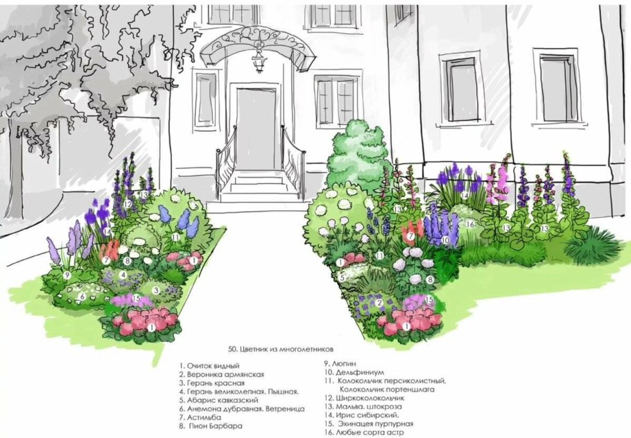 Ландшафтный скетч клумба миксбордер