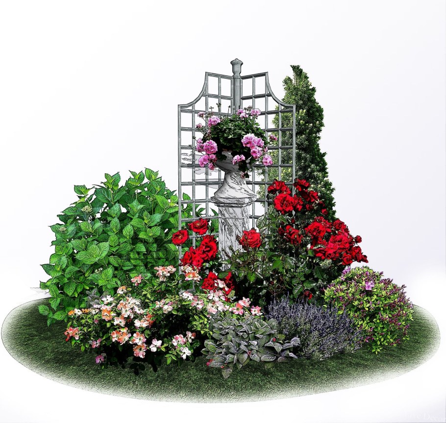 Клематисы в розарии