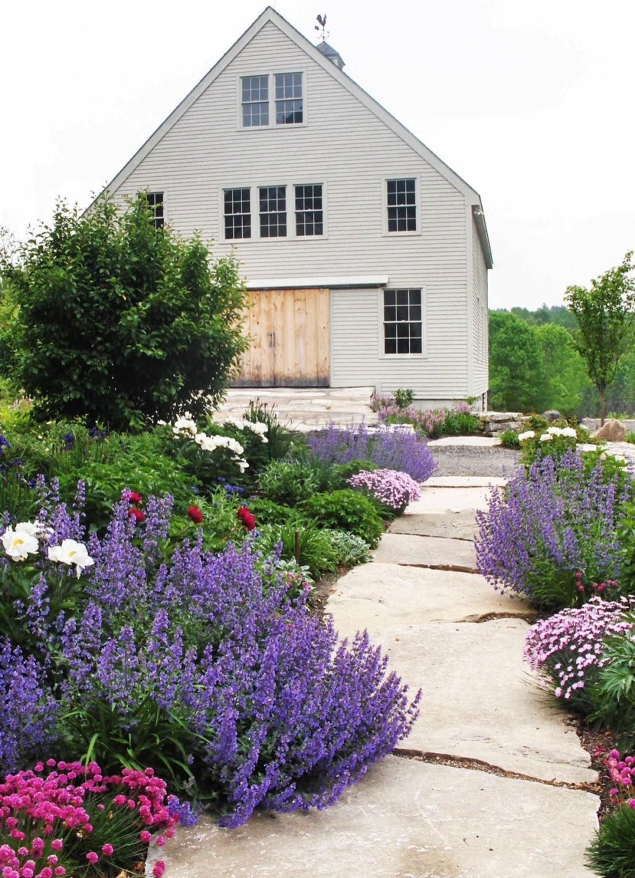 Лаванда шалфей Вереск