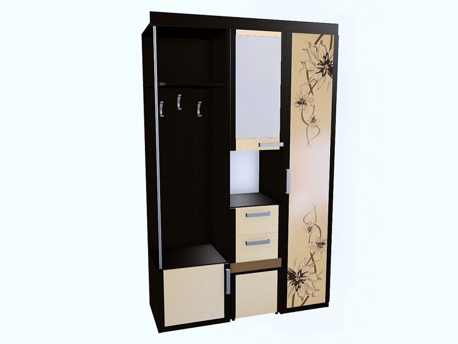 Прихожая Елена1.3 ДСВ