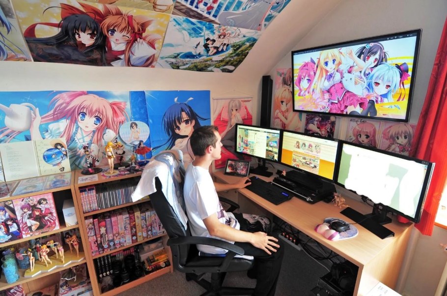 Отаку хикикомори