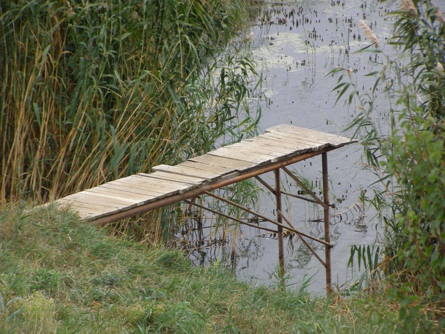 Пруд Сорокин мостки