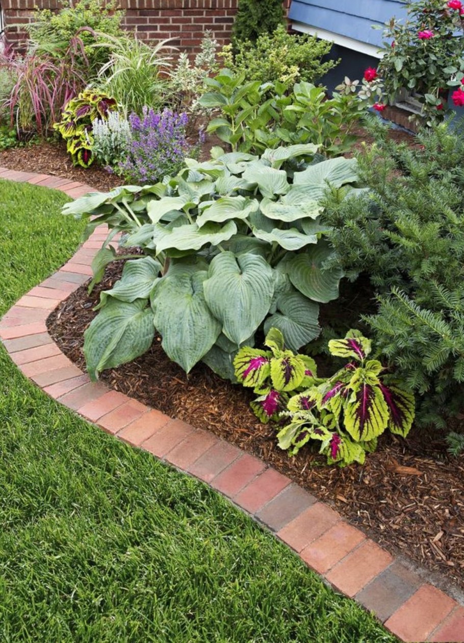 Миксбордер рокарий