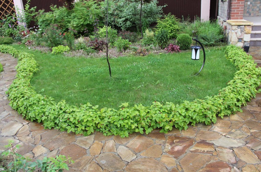 Клумбы с дорожками