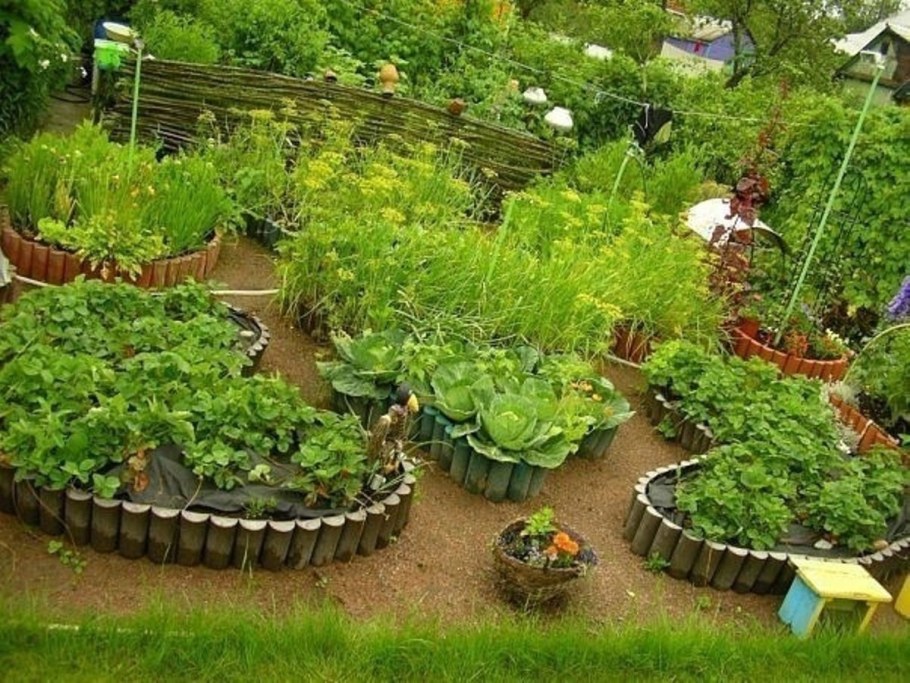 Сад и огород