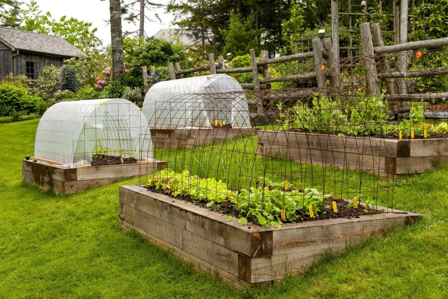 Дача сад огород