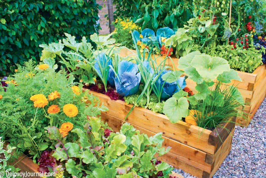 Огородный миксбордер