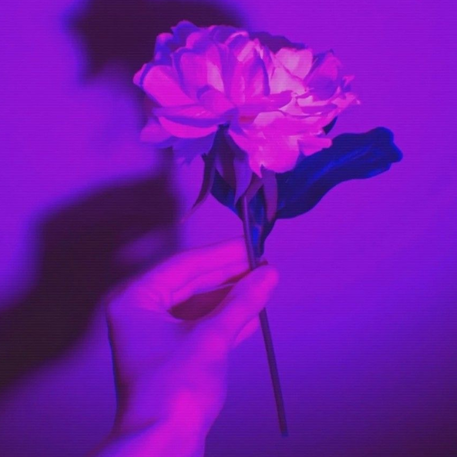 Фиолетовые цветы эстетике