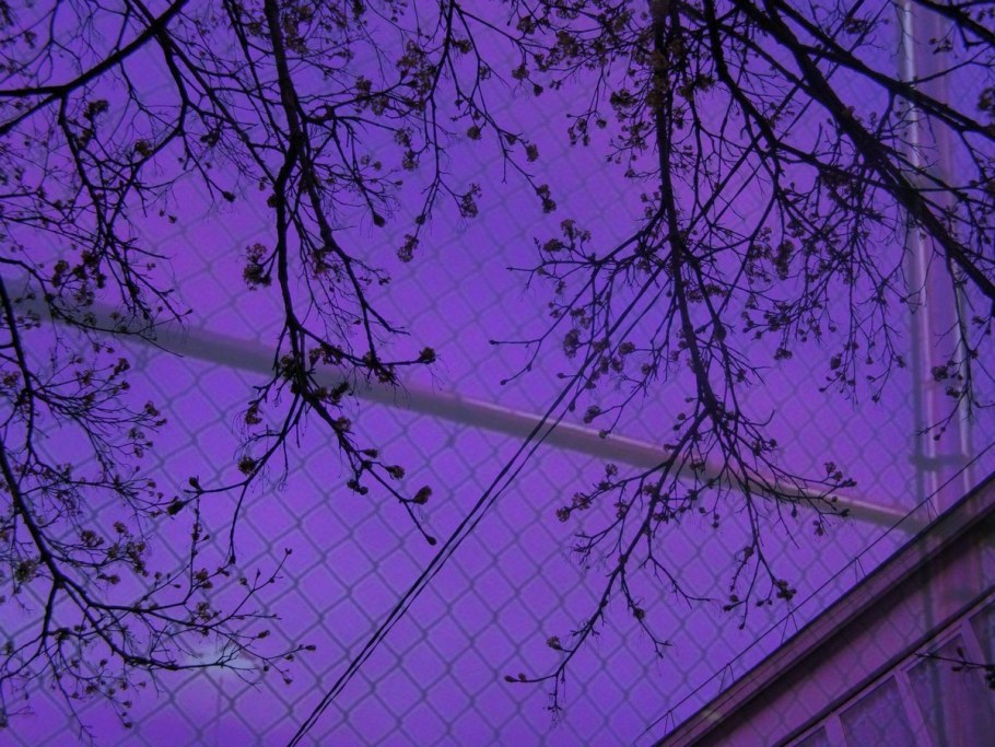 Фиолетовая Эстетика