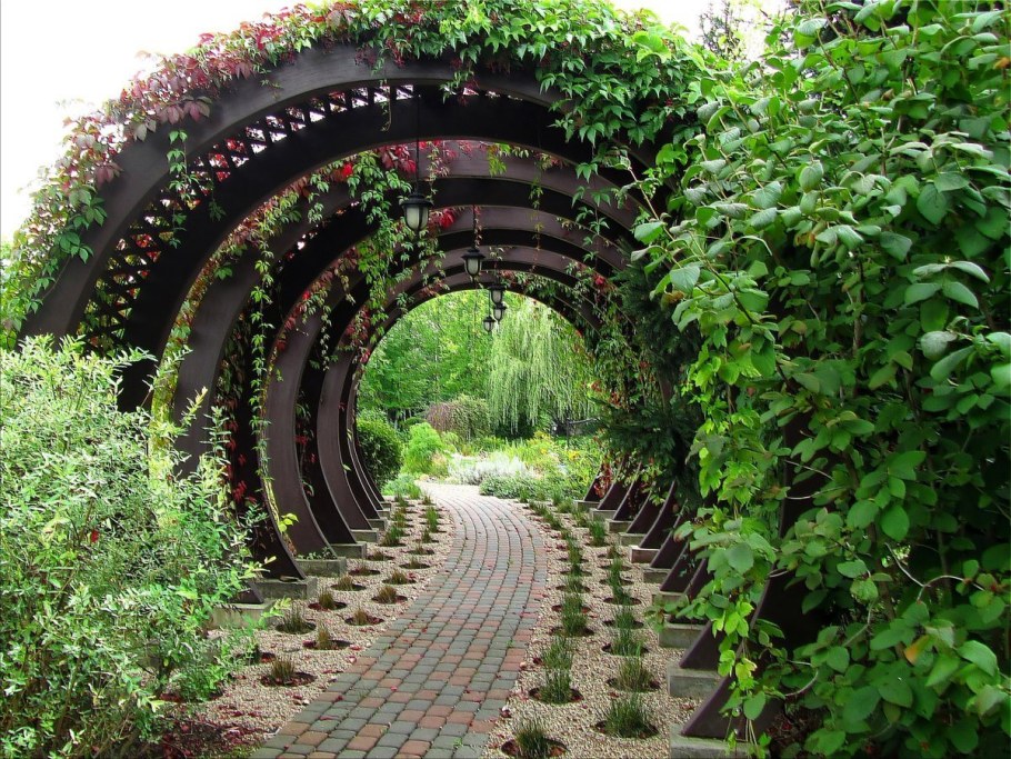 Пергола Берсо