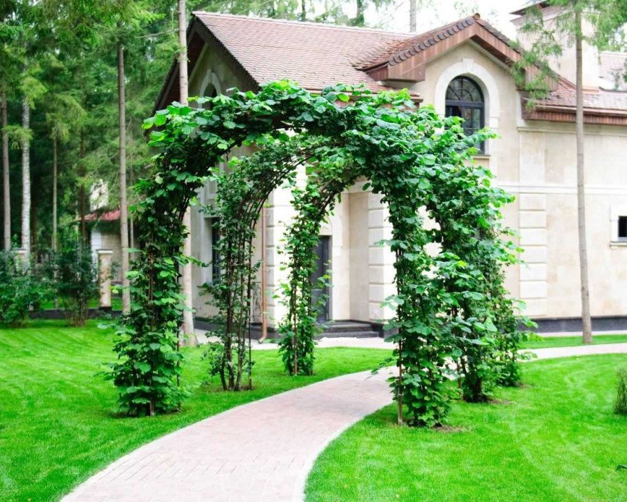 Пергола Берсо