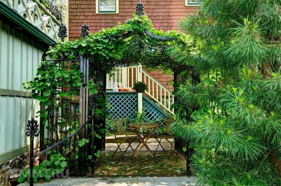 Пергола увитая вьющимися растениями