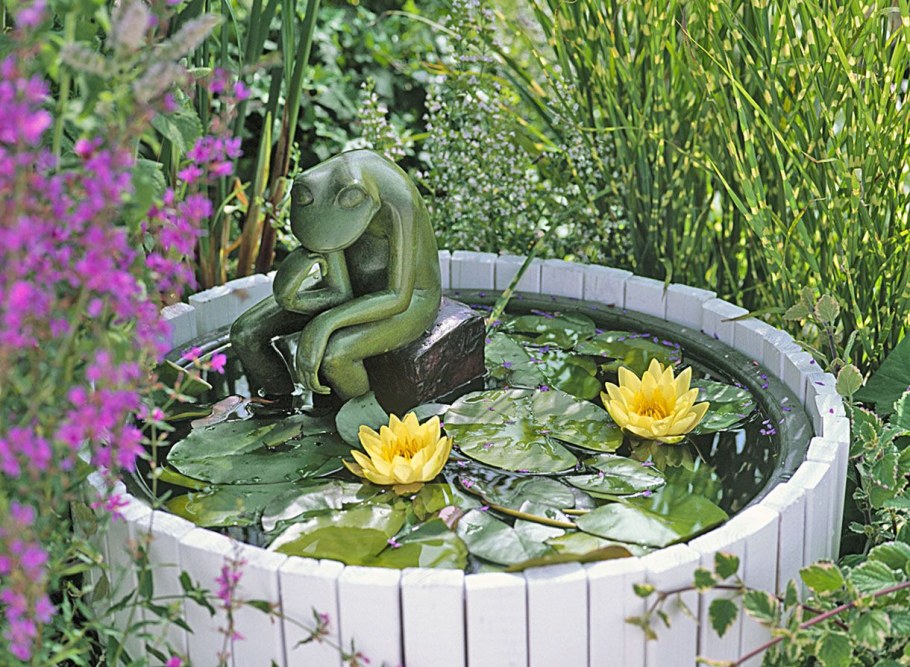 Огородный прудик