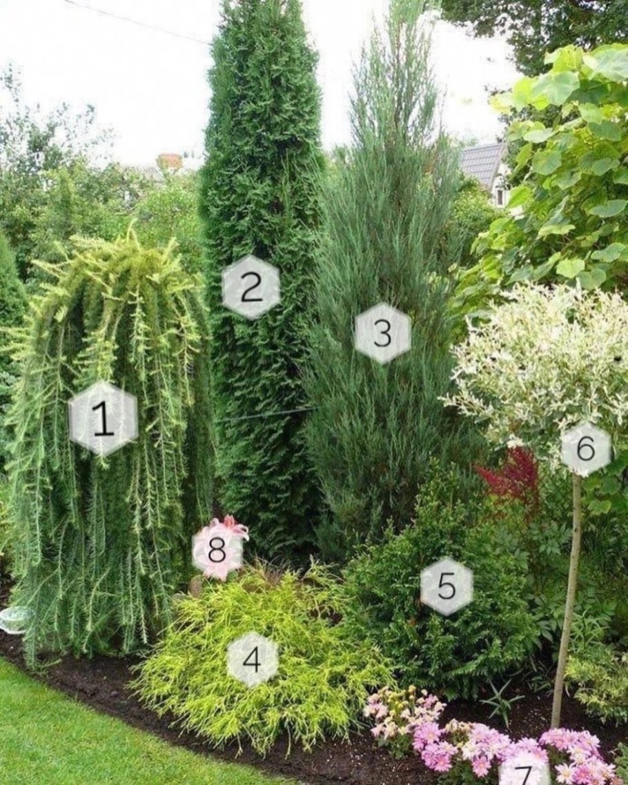 Ива Хакуро нишики