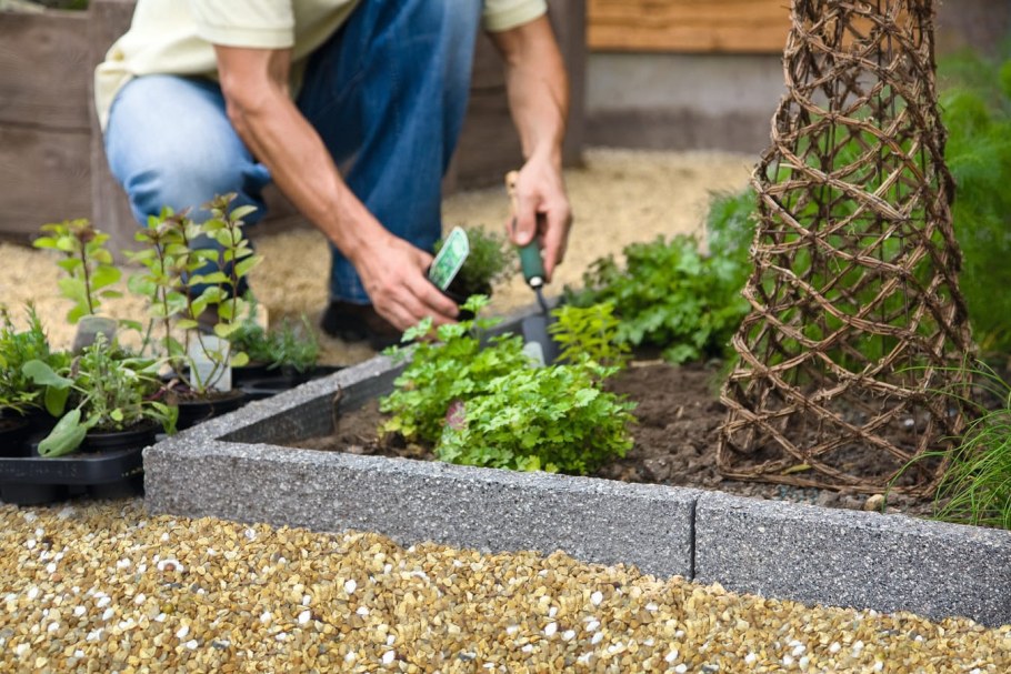 Бордюр для грядок