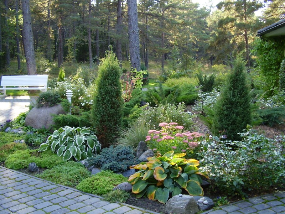 Хвойный миксбордер с туей