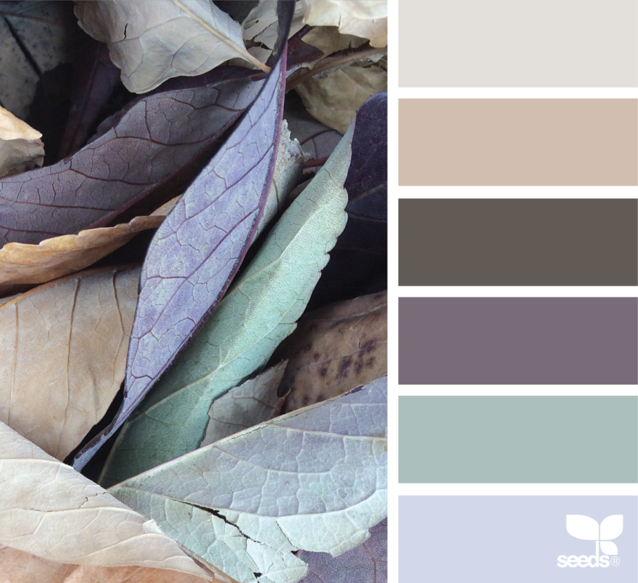 Цветовая палитра серый коричневый