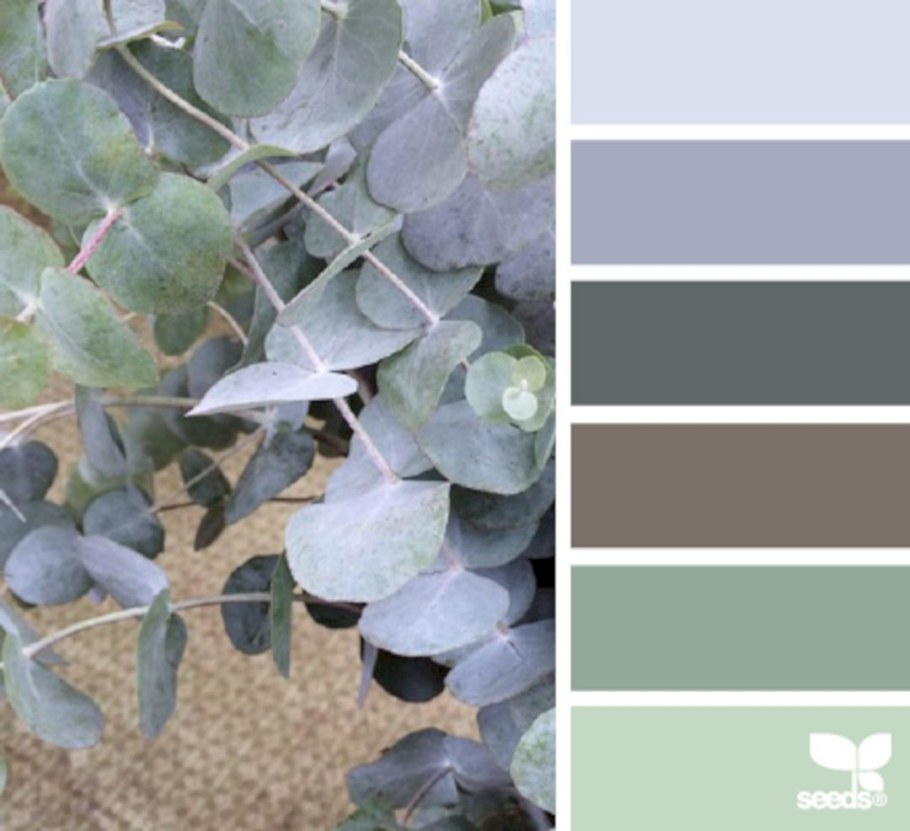 Палитра эвкалипт