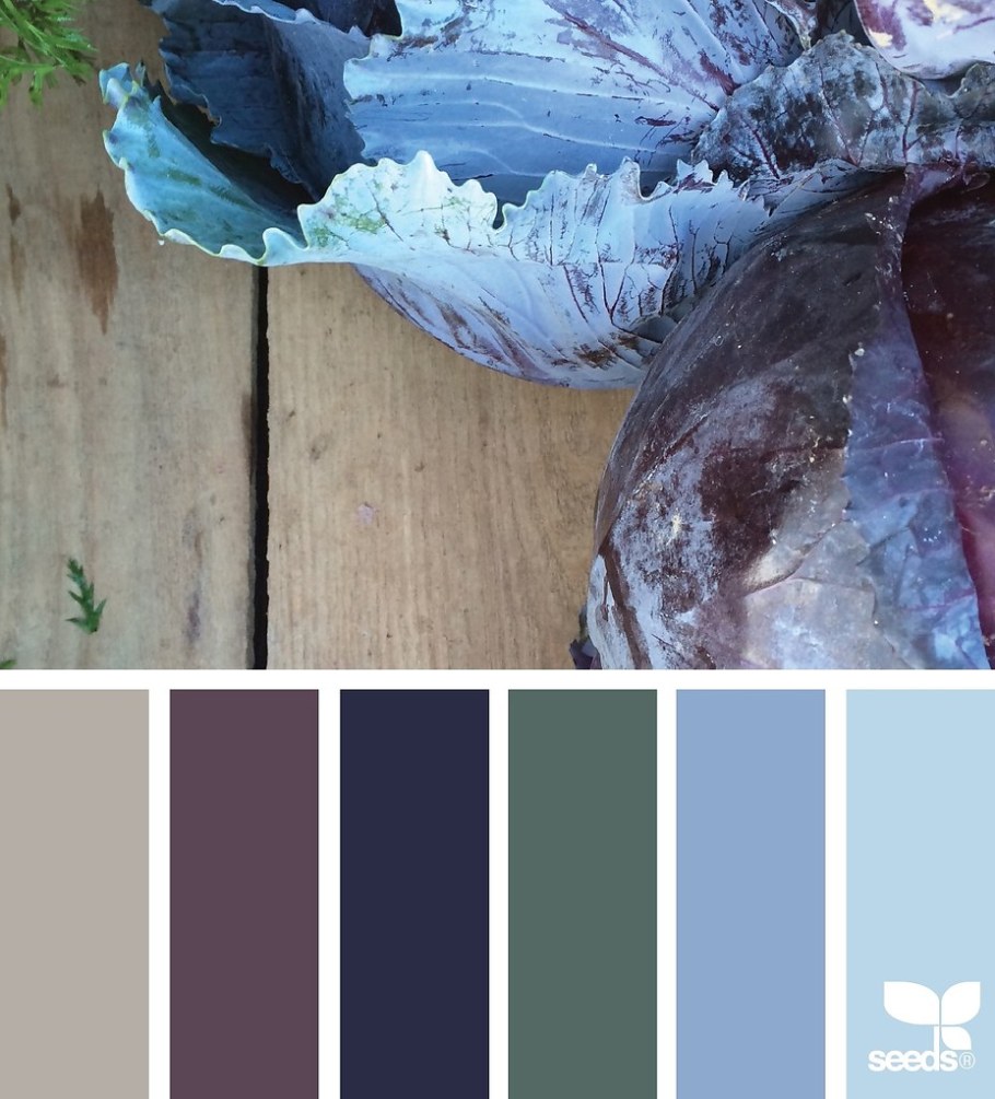 Сочетание сизого цвета