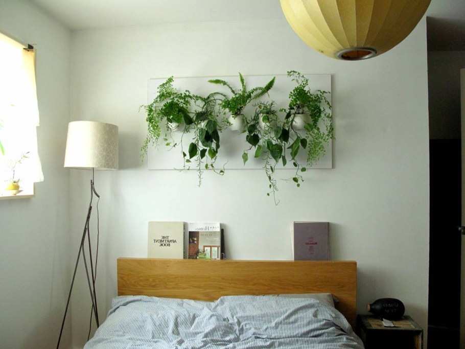 Комнатные растения в интерьере спальни