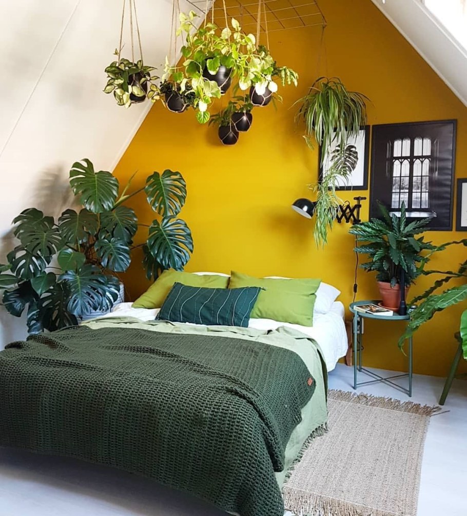 Растения в спальне