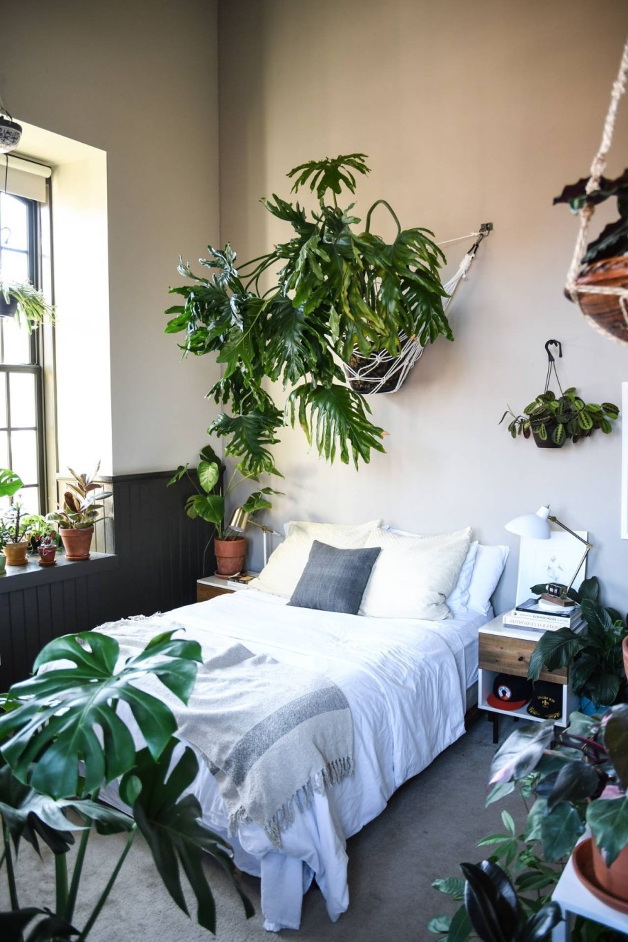 Растения в интерьере