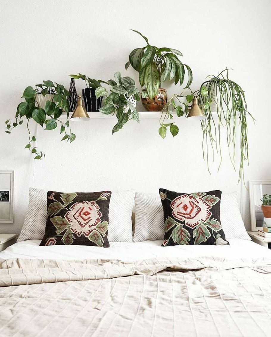 Растения в интерьере спальни