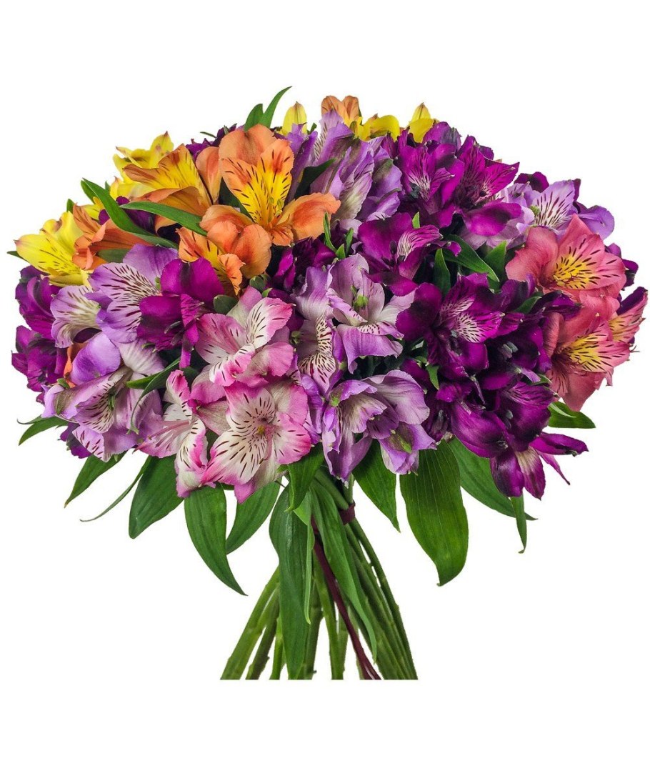 Цветы в букете альстромерия